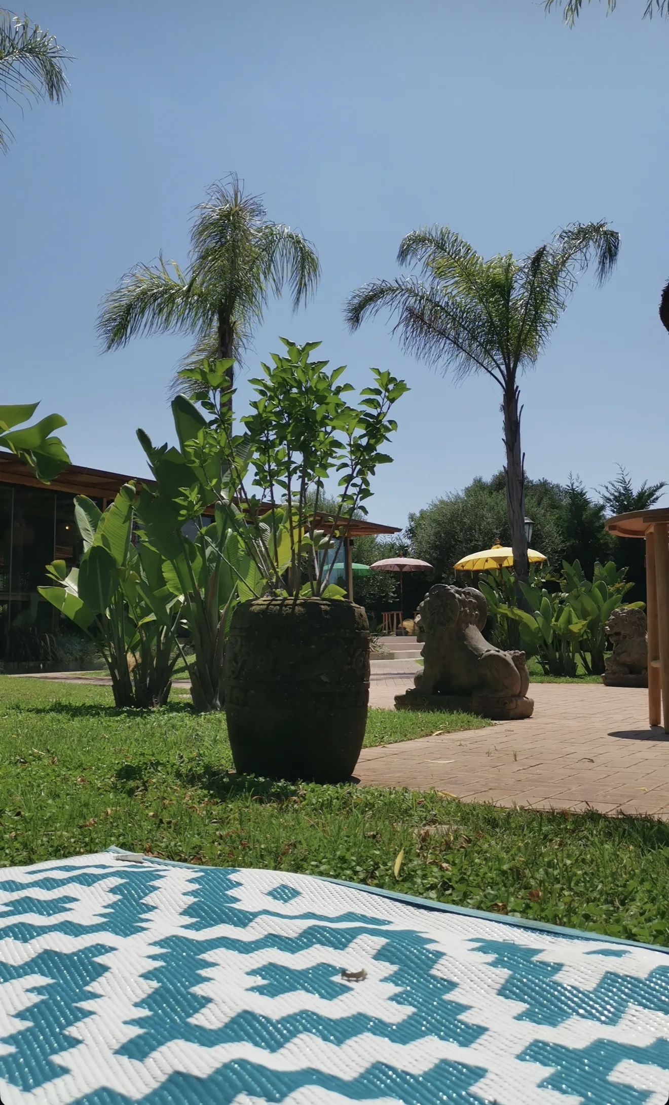 Il giardino di MUY